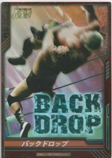 Takeshi Morishima 2013 Bushiroad King of Pro Wrestling #BT04-076-RR