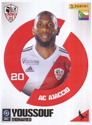 Sticker Panini EA Guingamp, Ligue 2 2024, Vignette Foot, Image En Très Bon état