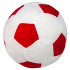 Indoor Fussball - weich - 23 cm Durchmesser - Hundespielzeug - Hundeball