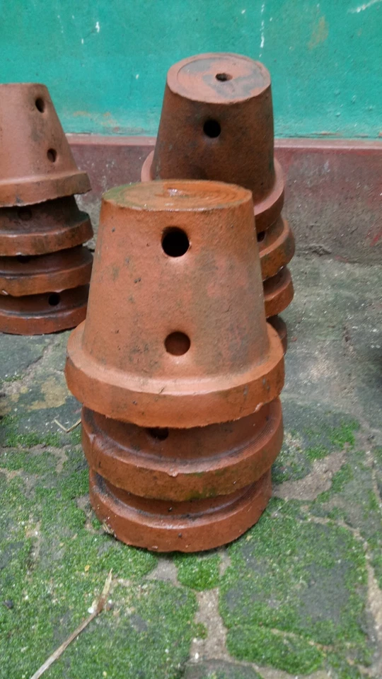 Fresh pure Natural  Clay Flower pots  Beautiful plants  New - Image 4 of 4