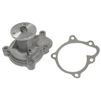 Wasserpumpe, MotorküHlung Blue Print ADZ99126 FüR Isuzu Opel Vauxhall Chevrolet
