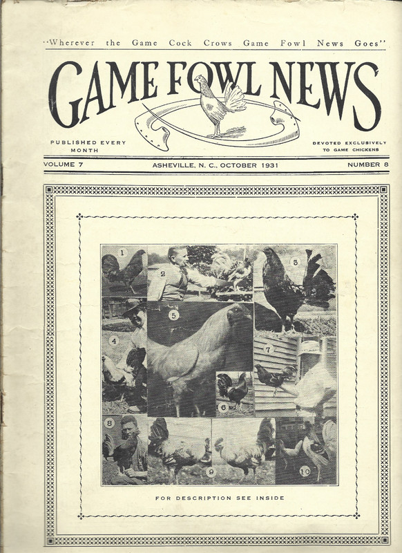 VINTAGE COLLECTIBLE Gamefowl News Magazine  Devoted to Game Fowl october 1931