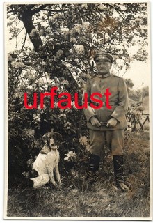 German WWI Officer Dr. Taaks with Pointer ? Dog Photo