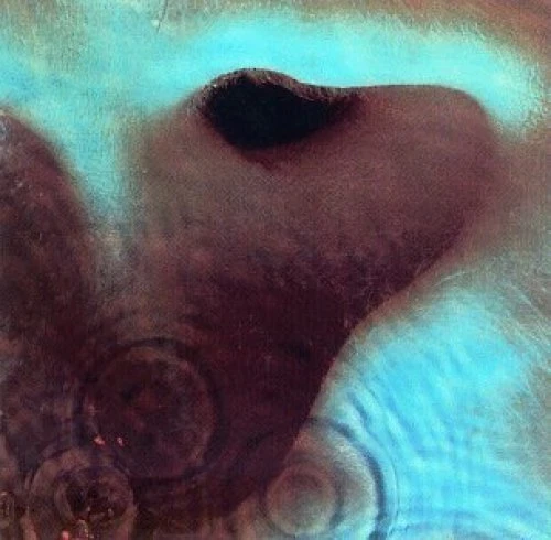 Pink Floyd Meddle (1971) [CD] - Bild 1 von 1