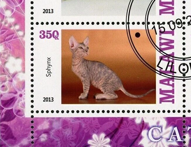 Malawi Cat Domestic Animal Ocicat Sphynx Souvenir Sheet of 4 Stamps - Image 4 of 4