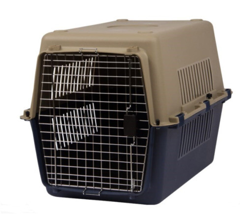 Pet Lodge 1 Pint Plastic Cage Cup - Blue | eBay