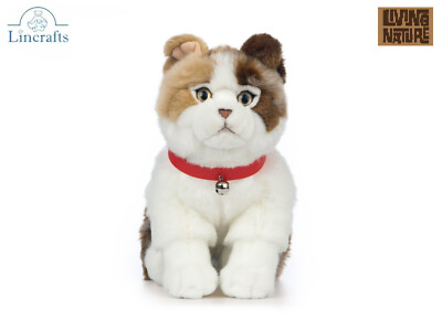 Schottische faltbare Katze sitzend Plüschtier Stofftier Katze Teddy 10 Jahre Garantie.  23cmH