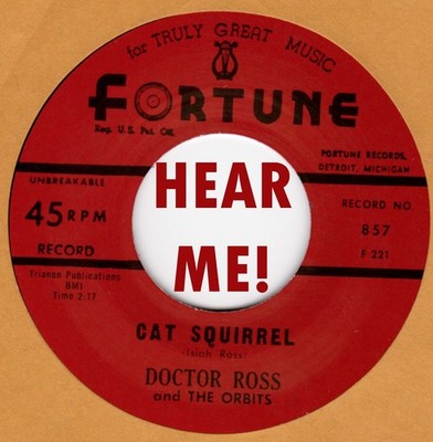 R&B REPRO:  FORTUNE    DOCTOR ROSS   CAT SQUIRREL / THE SUNNYLAND