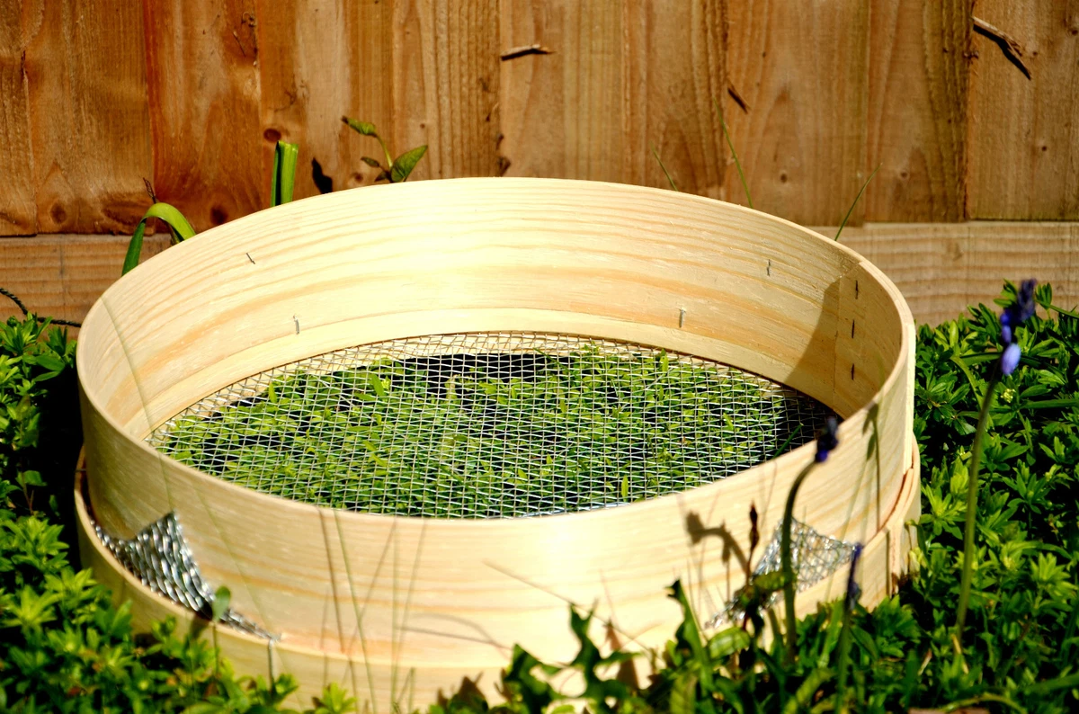 Garden Sieve Bunnings Fasci Garden