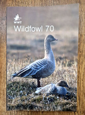Wildfowl 70 by Eileen C. Rees, Anthony D. Fox (Paperback)