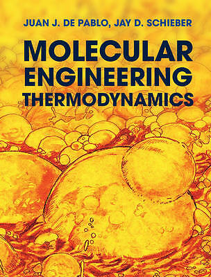 Molecular Engineering Thermodynamics de Pablo Schieber Hardcover 9780521765626 - Bild 1 von 1