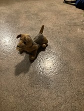 Ty Beanie Baby Whiskers the Dog August 6, 2000