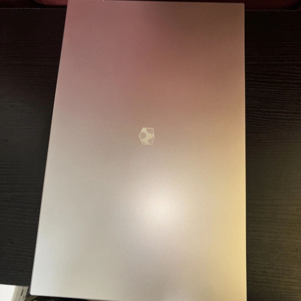 Gateway GWNR5L1746-SL 17,3 дюйма AMD Ryzen 5 5500U 8 ГБ DDR4 256 ГБ SSD Windows 11 Home - Изображение 4 из 4