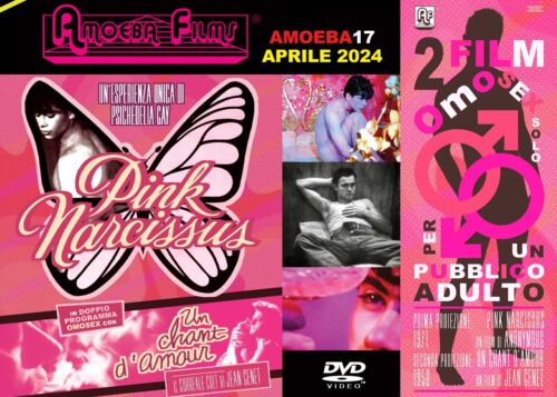 Pink narcissus + Un chant d'amour (DVD - Amoeba Films) Nuovo - Foto 1 di 3