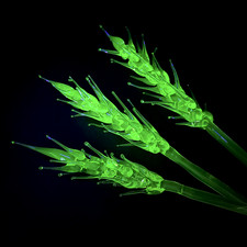 Uranium Glass Wheat Spike Unique Handmade Rare Vaseline Glass the Cluster Flower