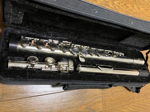 Flute body with case Kärntner