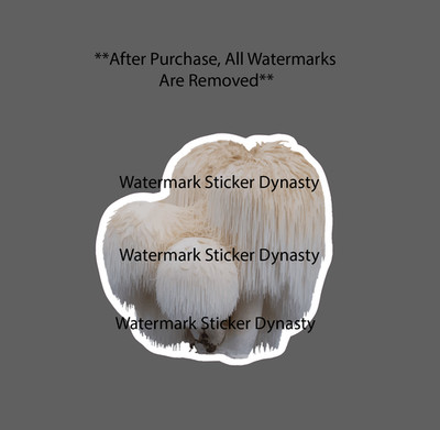 Lions Mane Mushroom Sticker Waterproof Decal Fungi Superfood Plant Gift NEW