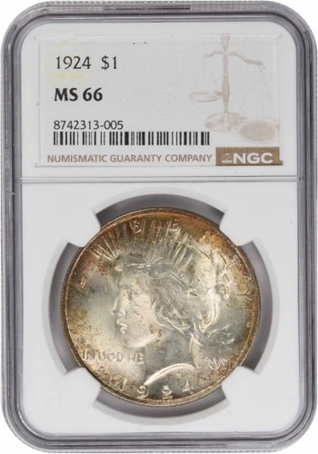 1924 Peace Silver Dollar MS66 Toned NGC