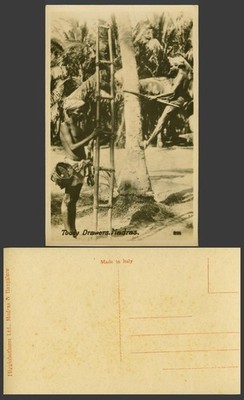 Indien alte Echt Foto AK Madras Toddy Schublade Indianer Baumkletterleiter 221