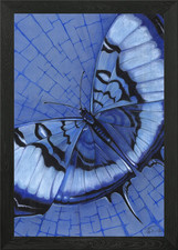 Quadro Stampa su Tela Poster Arte da Parete 7 Cornici Disegni Farfalla