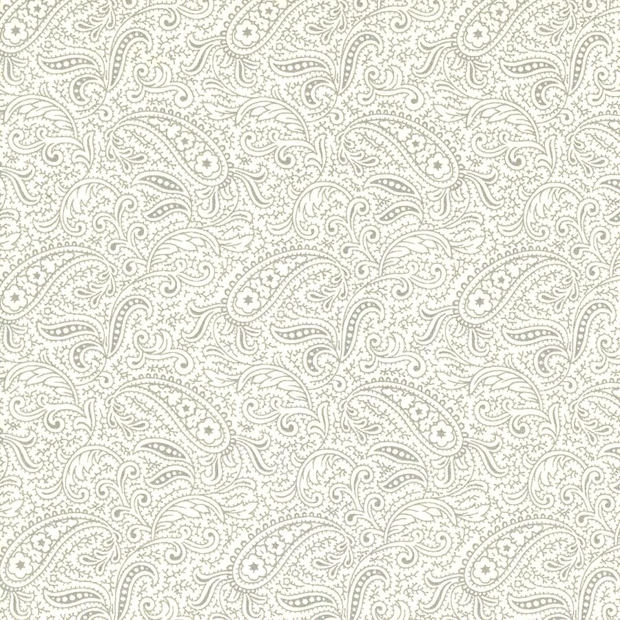 Moda Paisley Crafts Craft Fabrics