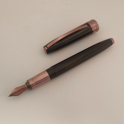 Visconti michelangelo Black & Bronze Füllfederhalter - Italien 14kt Feder