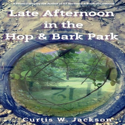 Late Afternoon in the Hop and Bark Park Curtis W. Jackson Paperba