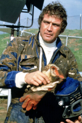 Lee Majors in The Fall Guy as Colt Seavers 8x10 inch photo