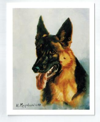 New German Shepherd Head Study Notecard Set - 6 Blank Note Cards Ruth Maystead