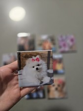 Custom Magnets