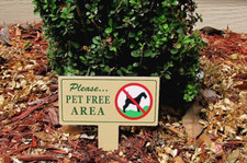 2 Pet Free Area Signs  No Dog Pooping  No Poop No Pee Sign  Dog Yard Sign