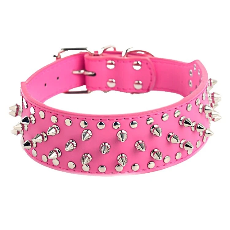 Rottweiler M para cães