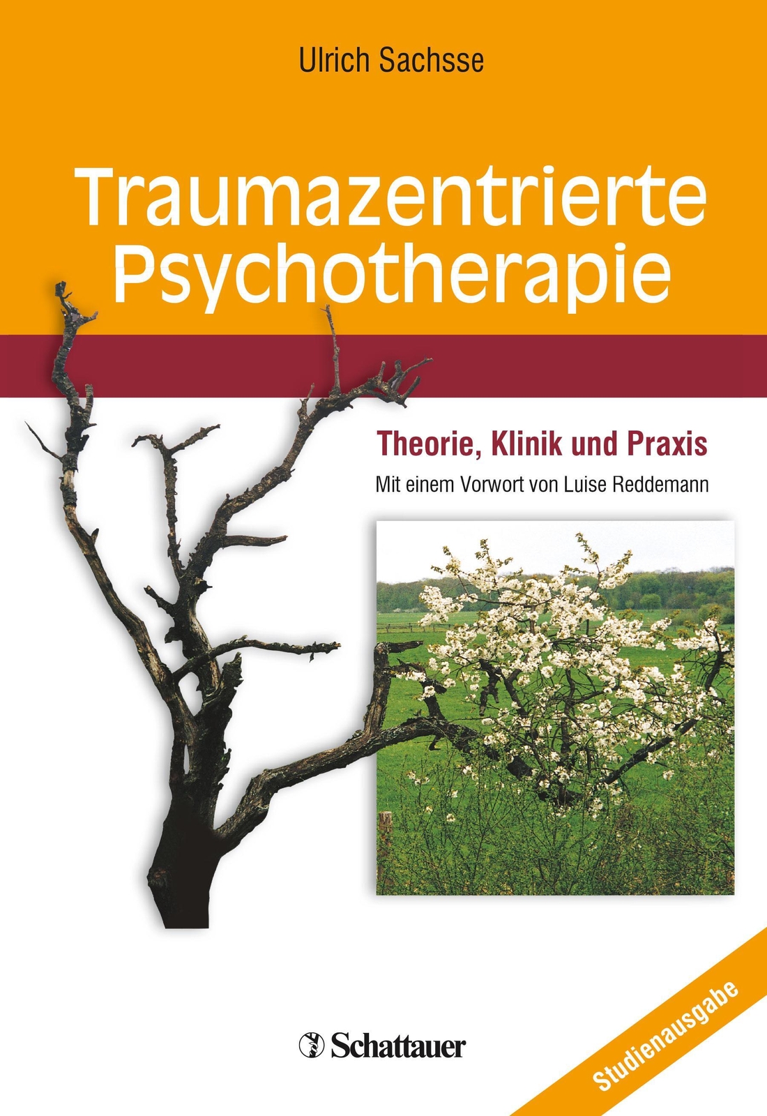 Thumbnail - Traumazentrierte Psychotherapie | Theorie, Klinik Und Praxis | Ulrich