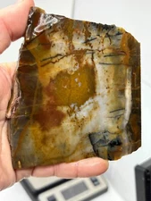 Blue Mountain Oregon Jasper Slab Cabbing Lapidary Collecting Combo Ship Avail