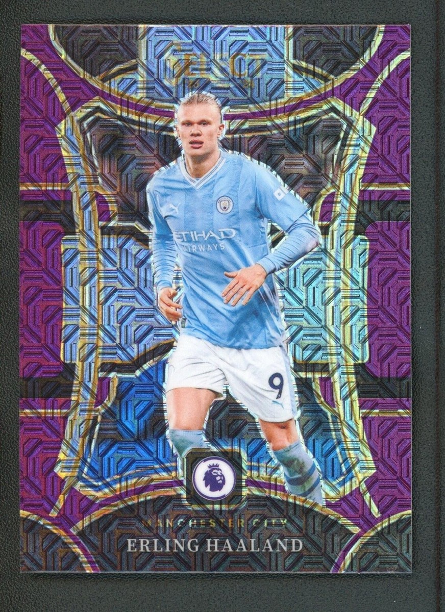 2023-24 ERLING HAALAND PANINI SELECT PREMIER LEAGUE