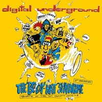 Digital Underground - Body Hat Syndrome - Vinyl Record - G4Z