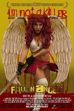 Fallen Angels Movie Poster 18'' X 28''