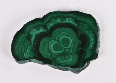 Polished Malachite Stalactite Slice from Congo  7.7 cm  # 19081