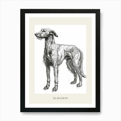 Sloughi Dog Line Sketch 3 Poster Ar gerahmt Wandbild Poster Leinwanddruck Bild