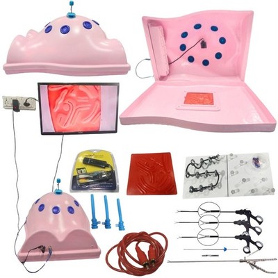 Laparoscopic Body Shape Endotrainer Training Practice Kit Simulator CE Approved