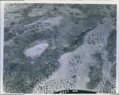 1970 Aerial View Textured Landscape April 16 Photo 8x10