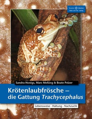Krötenlaubfrösche Sandra Honigs