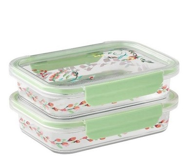 2 Pack Pioneer Woman Painted Meadow 2.3-Cup Tritan Food Storage Containers w/Lid