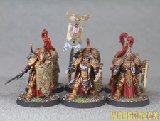 Warhammer 40K WDS painted Adeptus Custodes Sentinel Guard Sodality e41