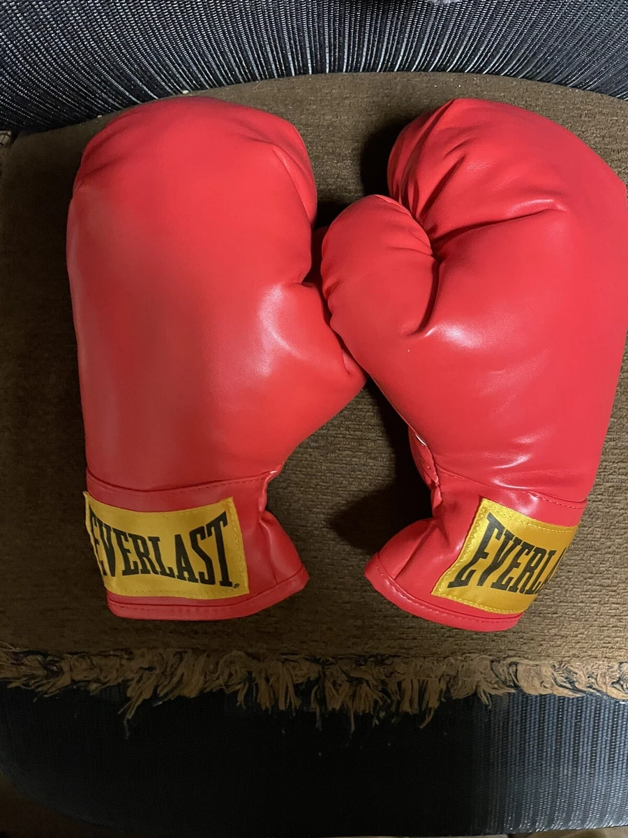 Everlast Laceless Boxing Gloves Size Small Brand New