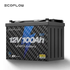 EcoFlow 12V 100Ah LiFePO4 Deep Cycle Lithium Battery BMS For RVs Trolling Motor