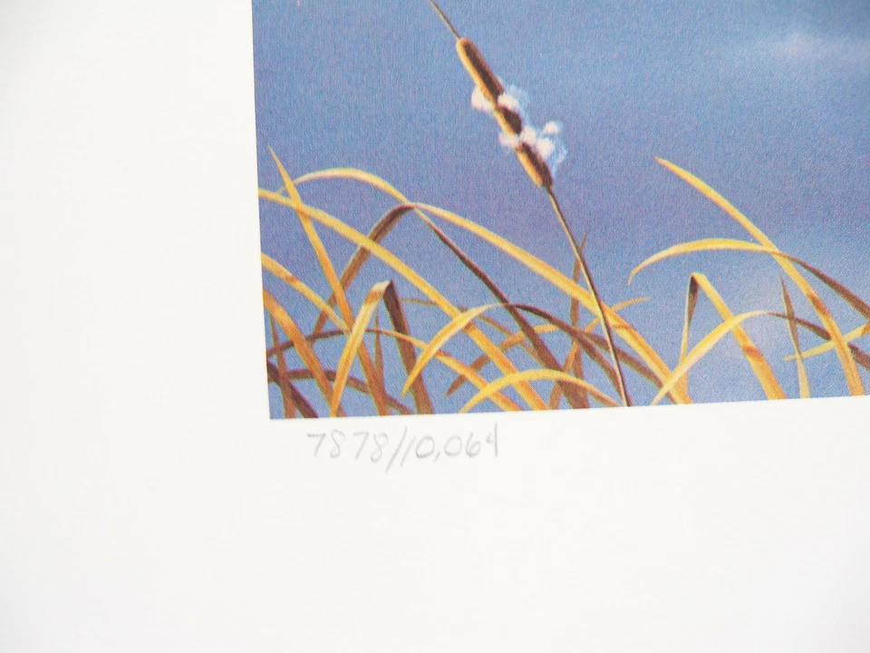 1987 First State West Virginia Waterfowl Signed Stamp Print by Daniel Smith  - Image 3 of 4