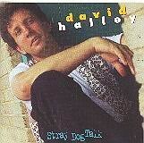 DAVID HALLEY - Stray Dog Talk - CD - **état neuf** - Photo 1/1