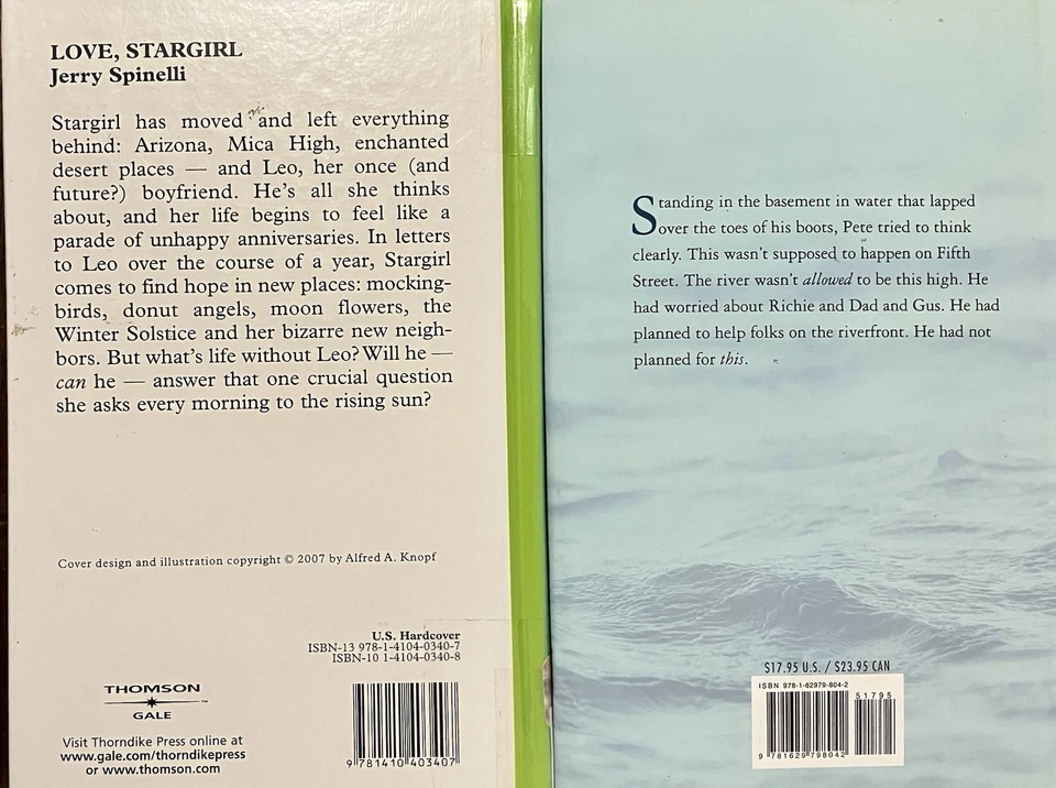 LARGE PRINT (2 hc) JERRY SPINELLI  Love, Stargirl KATHY WIECHMAN Not on 5th St. - Image 2 of 2