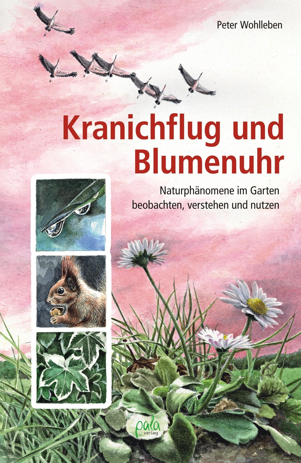 Thumbnail - Kranichflug Und Blumenuhr Peter Wohlleben